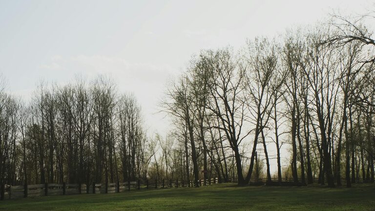 Przewodnik po najpiękniejszych parkach narodowych w Polsce na wiosnę